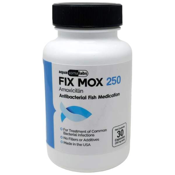 Fix Mox 250 (Amoxicillin)