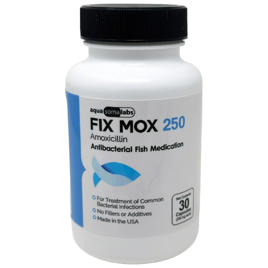 Fix Mox 250 (Amoxicillin)