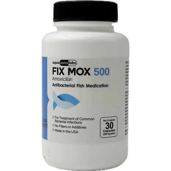 Fix Mox 500 (Amoxicillin)