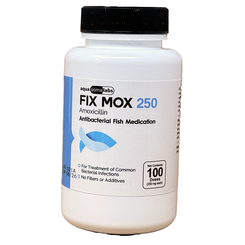 Fix Mox 250 (Amoxicillin)