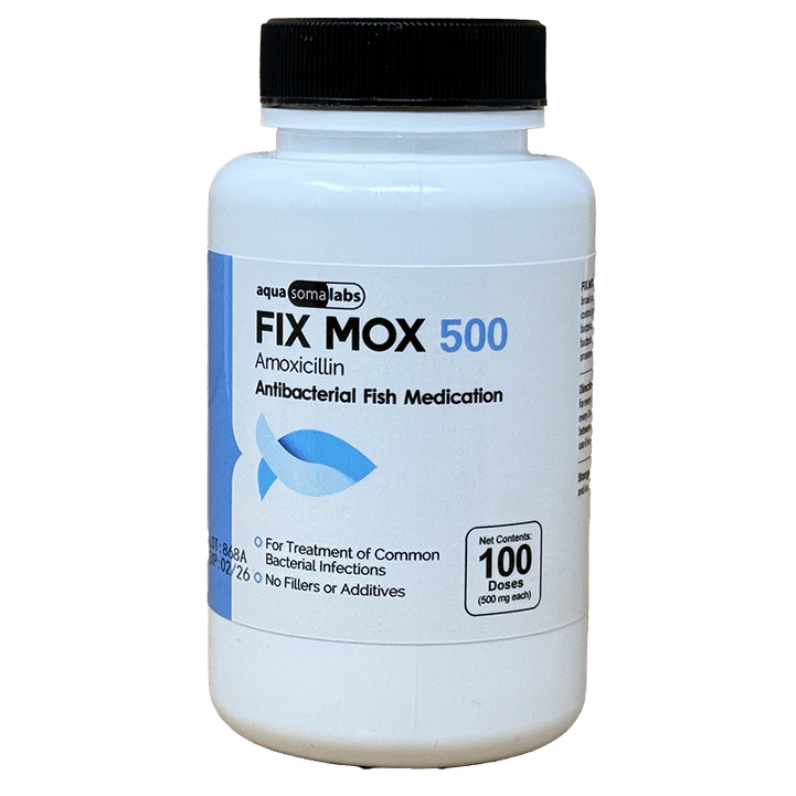 Fix Mox 500 (Amoxicillin)