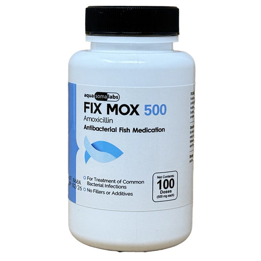 Fix Mox 500 (Amoxicillin)